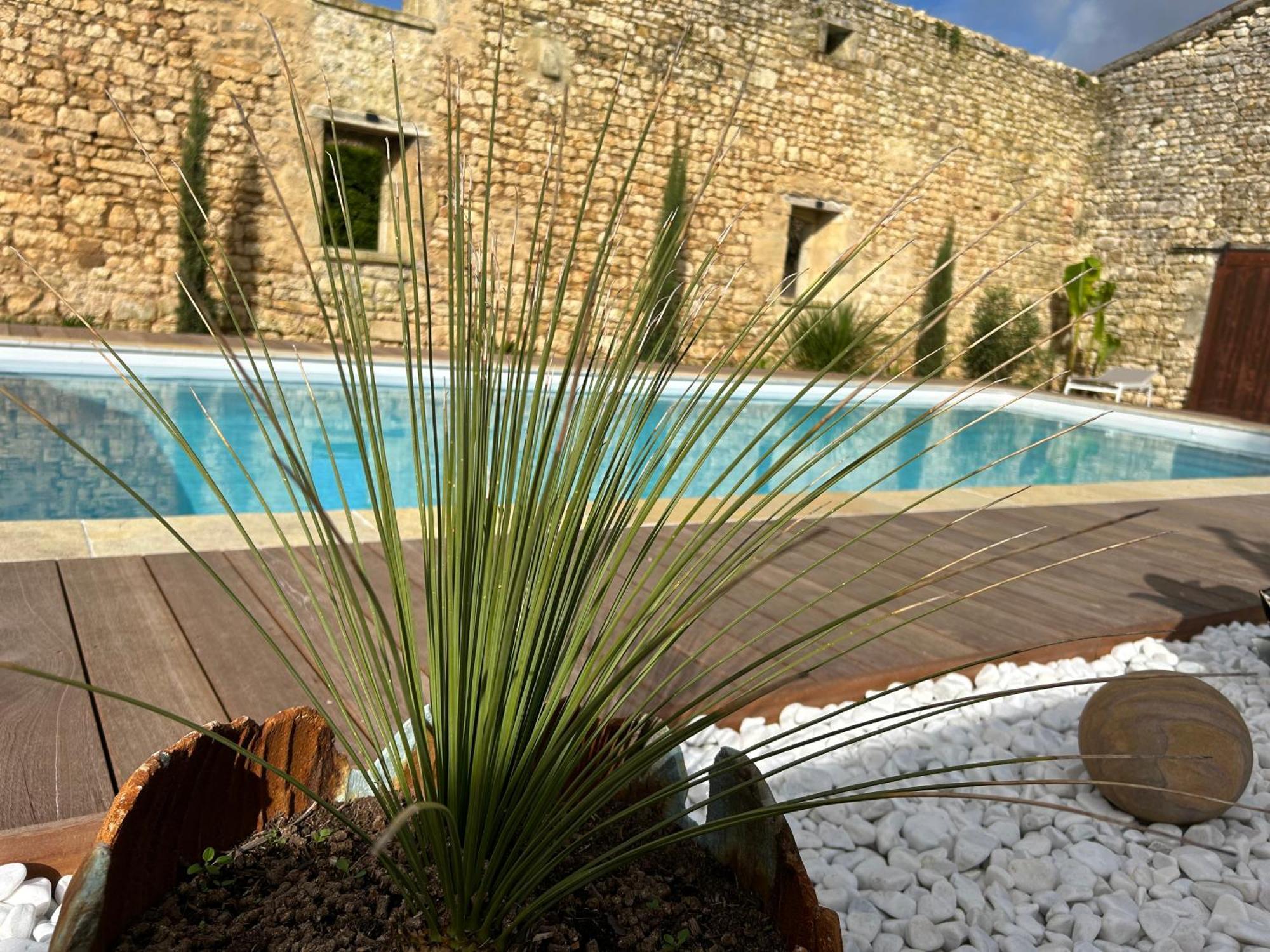 Domaine De La Gemoliere Bed & Breakfast Gemozac Exterior photo
