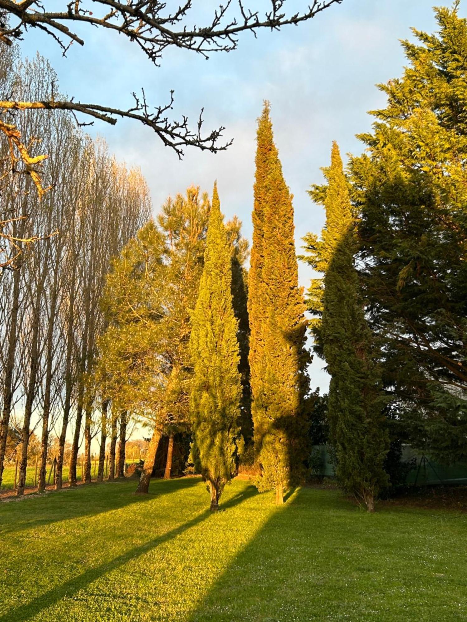 Domaine De La Gemoliere Bed & Breakfast Gemozac Exterior photo
